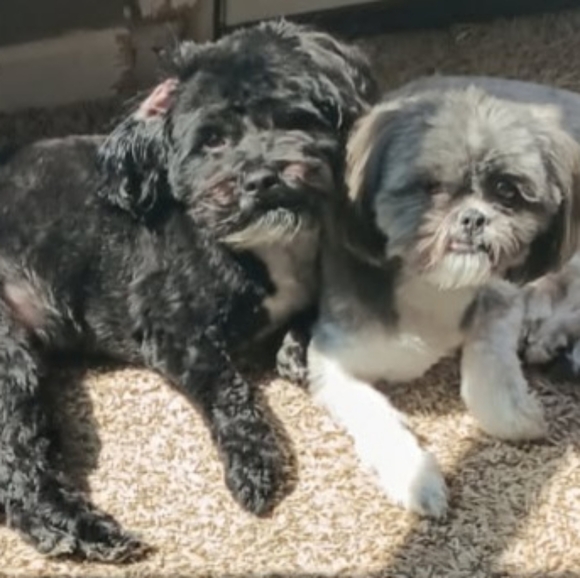 Liz's Share Show - Picture 15 of 17